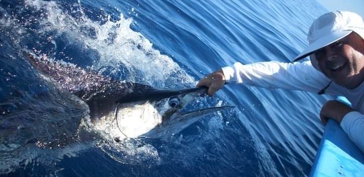 Marlin Catch & Release