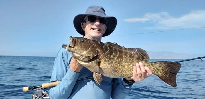 Grouper on Fly